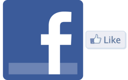 Facebook : 50 milliards de dollars de valeurs?